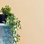 Thermae Loft Διαμέρισμα Βάρνα