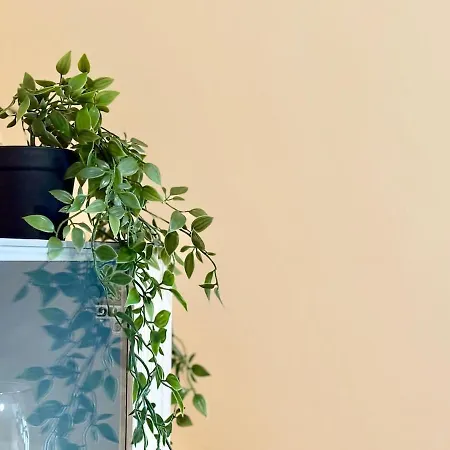 Thermae Loft Daire Varna