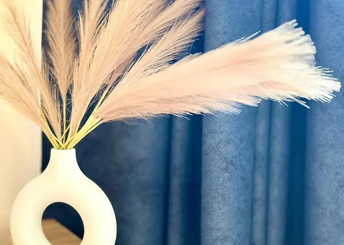 Thermae Loft * فارنا